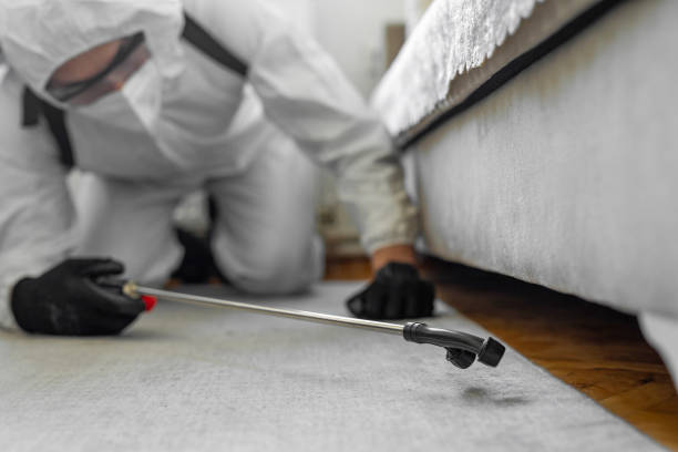 Professional Cockroach Control technician working in Hubbard, OR